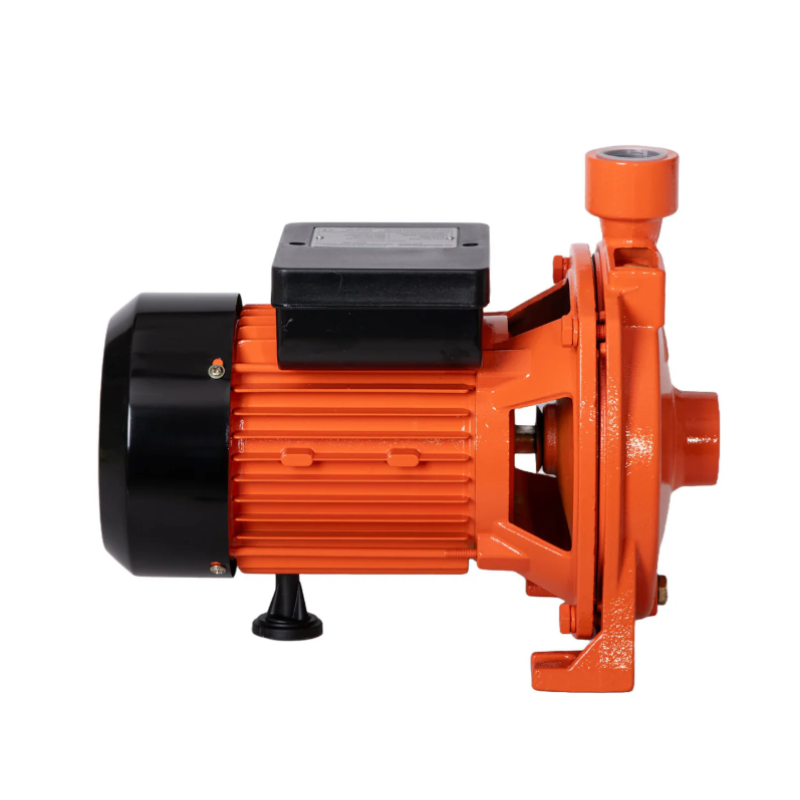 Pompa de suprafata centrifugala Wolfson CPM-158, 750W, 5500 l/h cu presostat automat Total