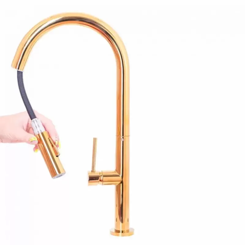 Baterie Bucatarie cu Dus Extractibil, Alama Sanitara, Auriu, CF2043