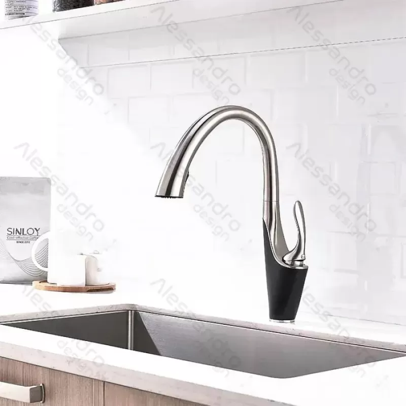 Baterie Bucatarie cu Dus Extractibil, Alama Sanitara, Crom, W058