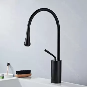 Baterie Lavoar, Alama Sanitara, Negru, WZY/327/B