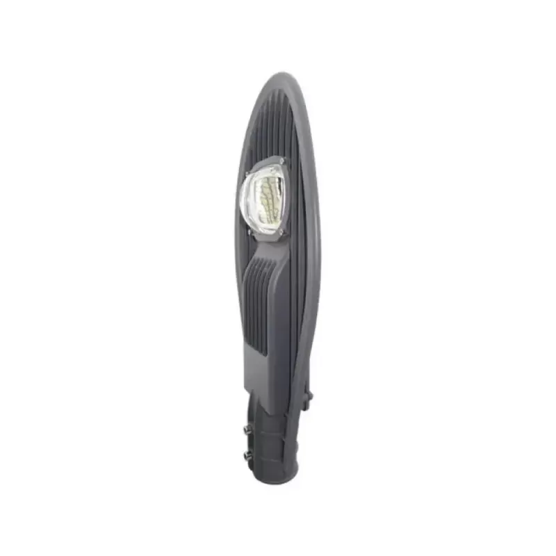 Lampa Stradala Fantas, 50W, 6500K