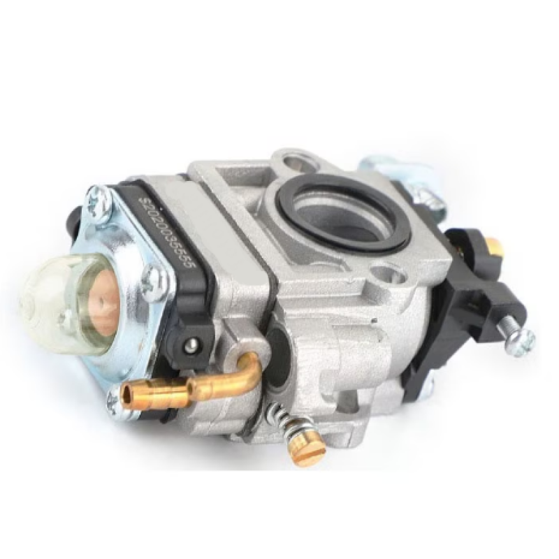 Carburator MOTOCOASA cu gaura mare Craft-tec MX190