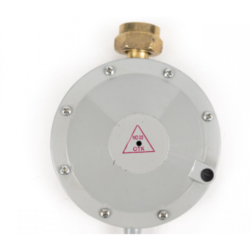 Ceas butelie gri rusesc MX027