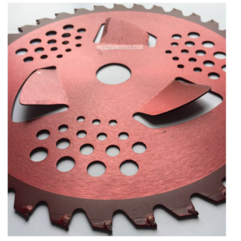 Disc motocoasa NR 10, 255X40T cu vidia si ARIPIOARE, ROSU Craft-tec MX629