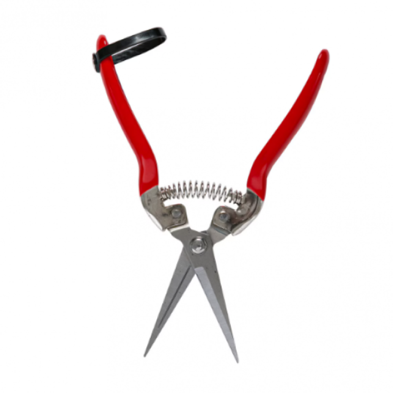 Foarfeca de cules legume, fructe, 70mm MX341