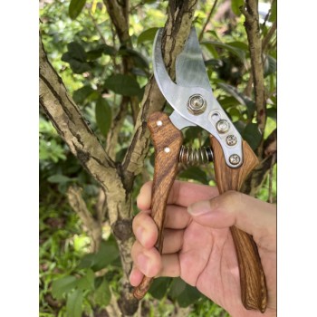 Foarfec vie, SKS5, MANER BAMBUS MX1057