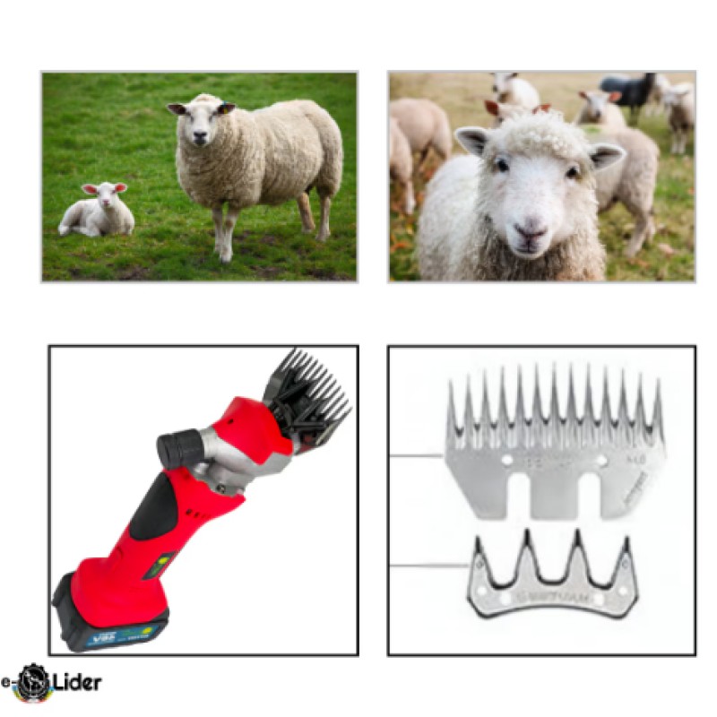 Masina tuns oi ROSIE, 2 BATERII, 48V, LIDER MX841