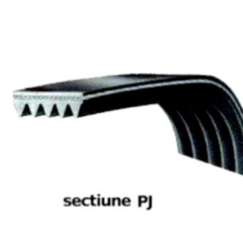 Curea transmisie betoniera 5PJ 560mm