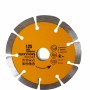 DISC DIAMANTAT 125x2x10x22.23 Segmentat Rotor