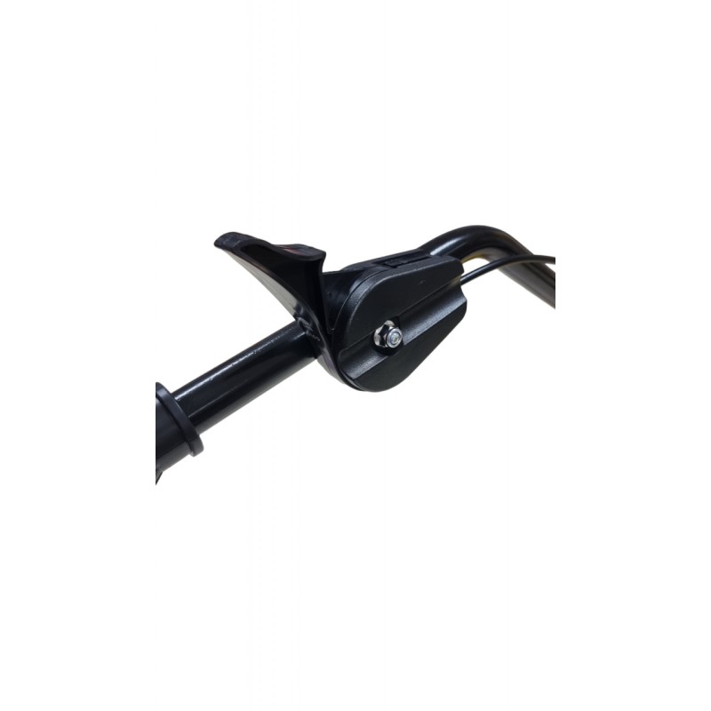 Motocultor pe benzina 4 CP, 4 timpi, PartnerPro PT1