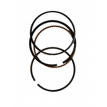 piston pentru motor motopompa