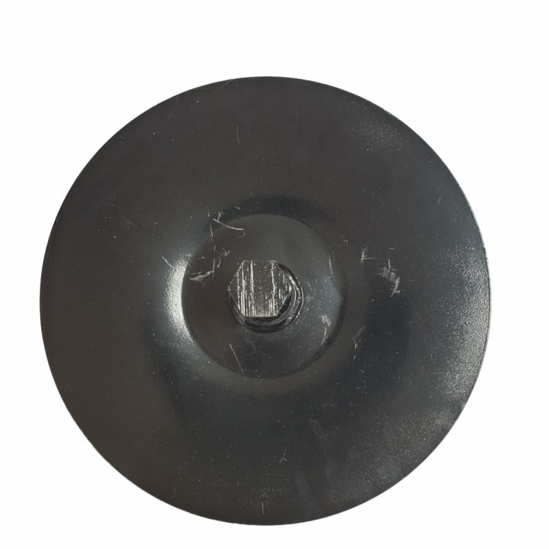 Set discuri laterale freze motocultor Ø 23 mm, Elefant