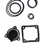 set garnituri pentru motopompa, 2"