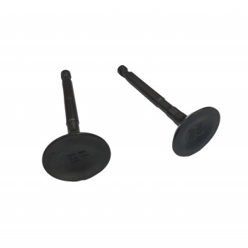 Supape compatibilie Honda GX 160 (5.5hp, 6.5hp, 168F), Elefant