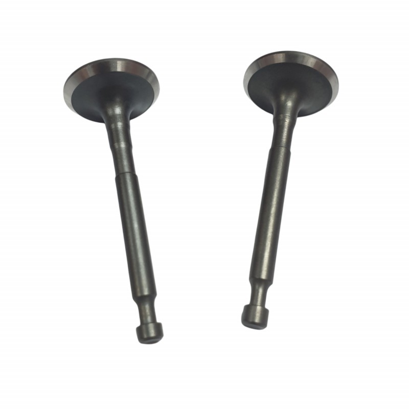 Supape compatibilie Honda GX 160 (5.5hp, 6.5hp, 168F), Elefant