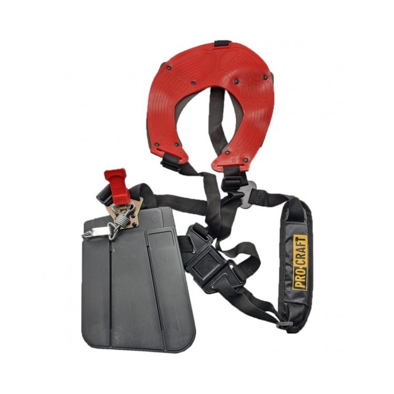 T4200EL Electro Starter motocoasa PROCRAFT