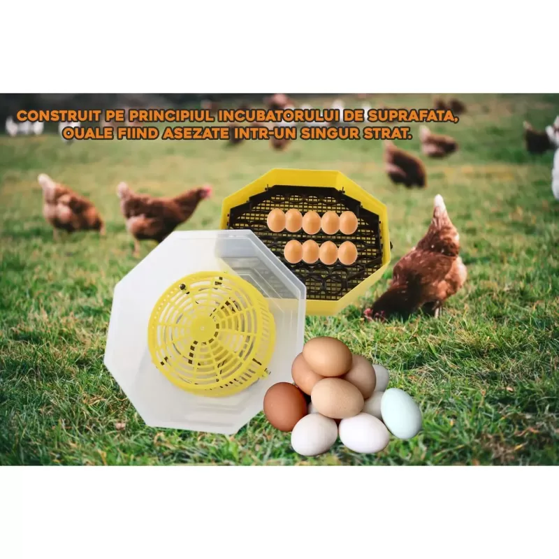 Incubator electric oua (clocitoare) cu dispozitiv de intoarcere si termometru Cleo 5DT, 230 V, 41 oua capacitate, 38°C temperatura incubare