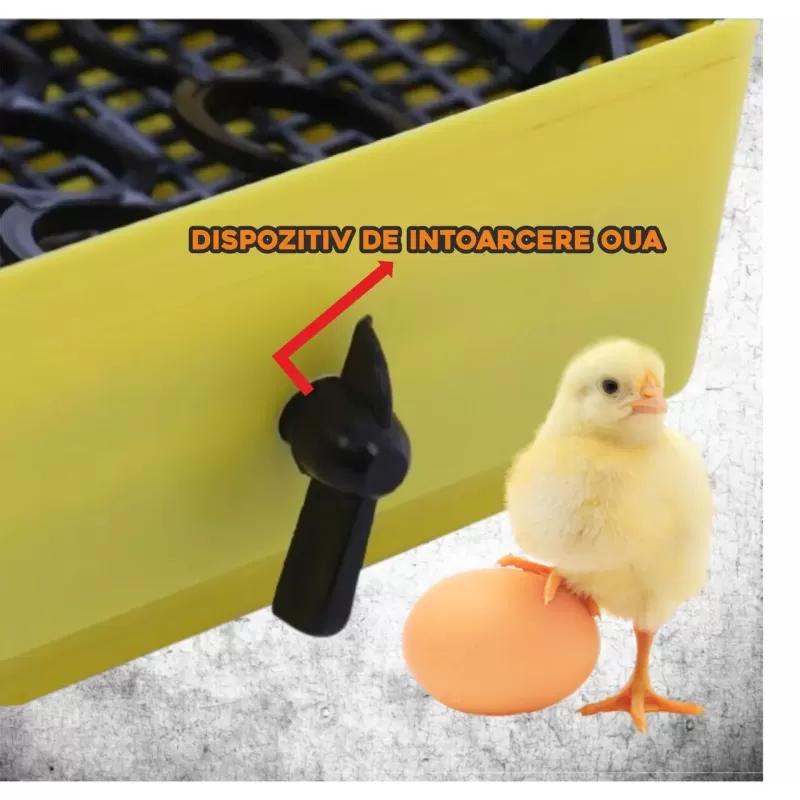 Incubator electric oua (clocitoare) cu dispozitiv de intoarcere si termometru Cleo 5DT, 230 V, 41 oua capacitate, 38°C temperatura incubare