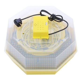 Incubator electric oua (clocitoare) Cleo 5, 230 V, 60 oua capacitate, 38°C temperatura incubare