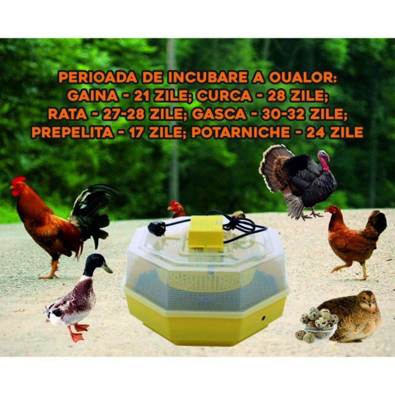 Incubator electric oua (clocitoare) Cleo 5, 230 V, 60 oua capacitate, 38°C temperatura incubare