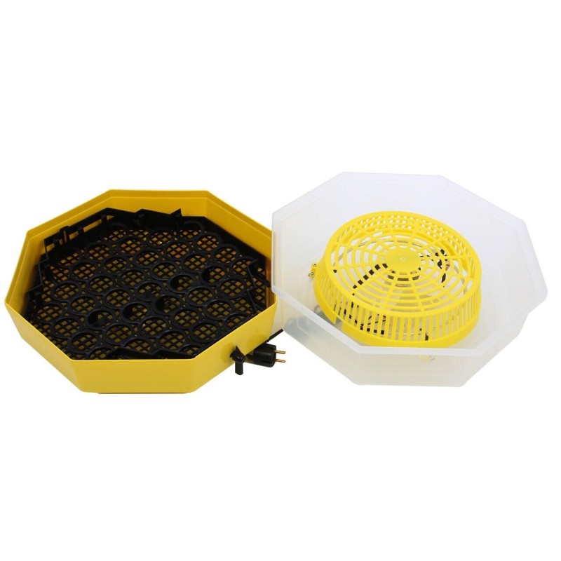 Incubator electric oua (clocitoare) cu dispozitiv de intoarcere Cleo 5D, 230 V, 41 oua capacitate, 38°C temperatura incubare