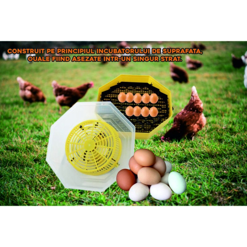 Incubator electric oua (clocitoare) cu dispozitiv de intoarcere Cleo 5D, 230 V, 41 oua capacitate, 38°C temperatura incubare