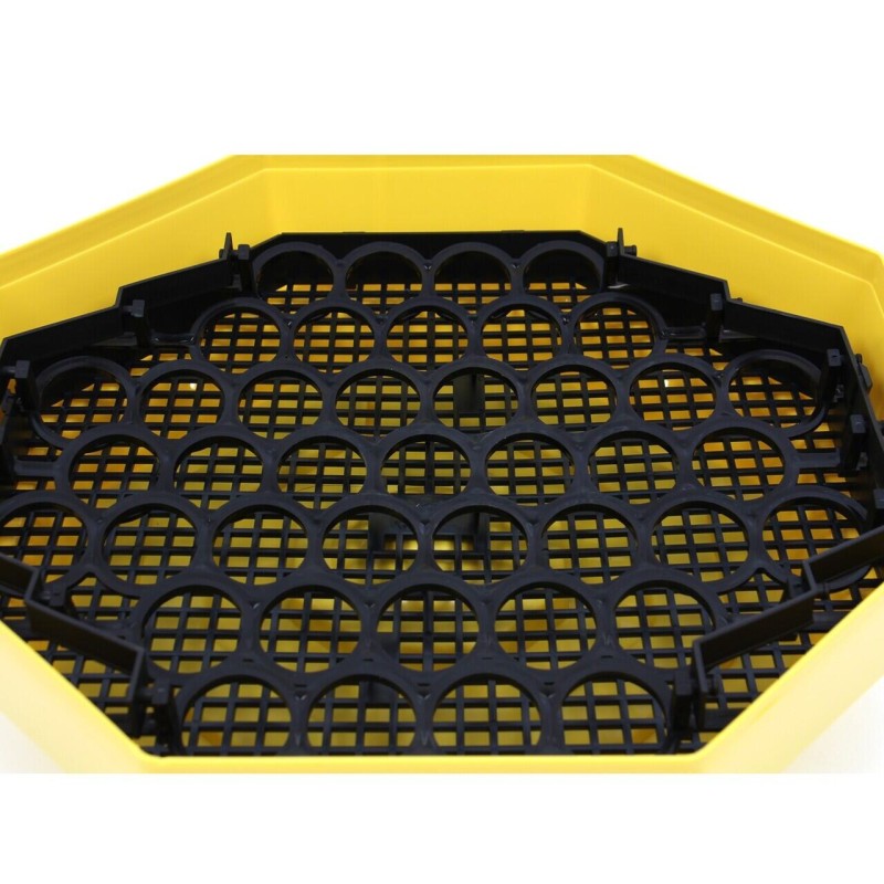 Incubator electric oua (clocitoare) cu dispozitiv de intoarcere Cleo 5D, 230 V, 41 oua capacitate, 38°C temperatura incubare