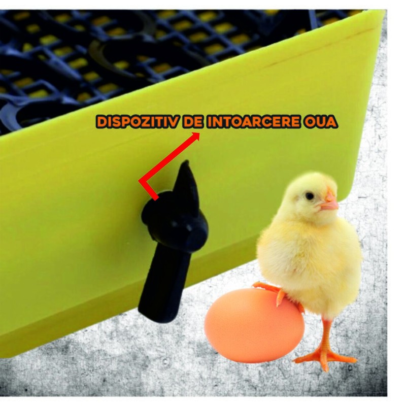 Incubator electric oua (clocitoare) cu dispozitiv de intoarcere Cleo 5D, 230 V, 41 oua capacitate, 38°C temperatura incubare