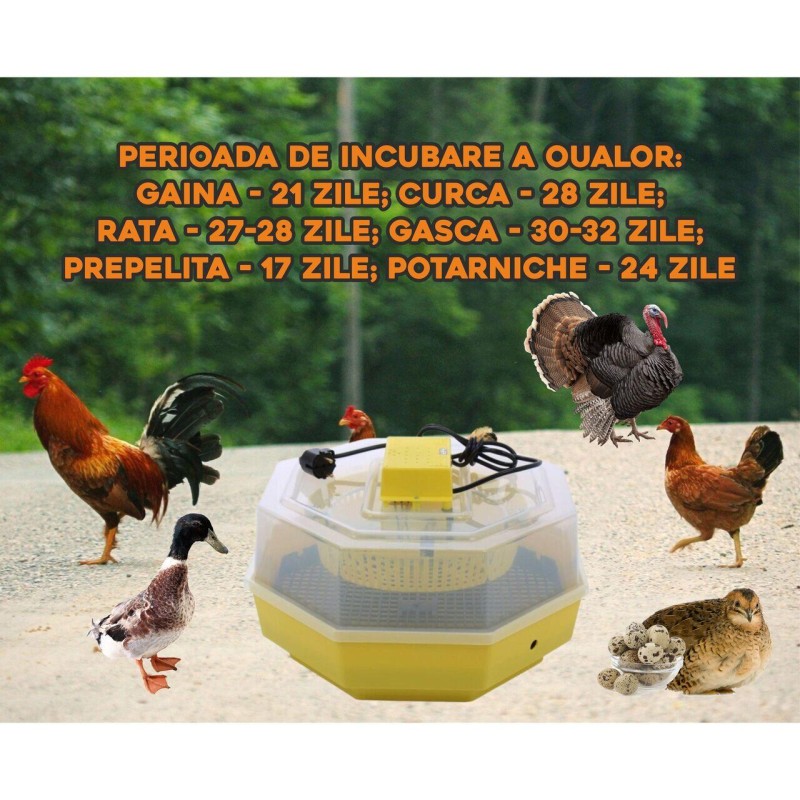 Incubator electric oua (clocitoare) cu dispozitiv de intoarcere Cleo 5D, 230 V, 41 oua capacitate, 38°C temperatura incubare