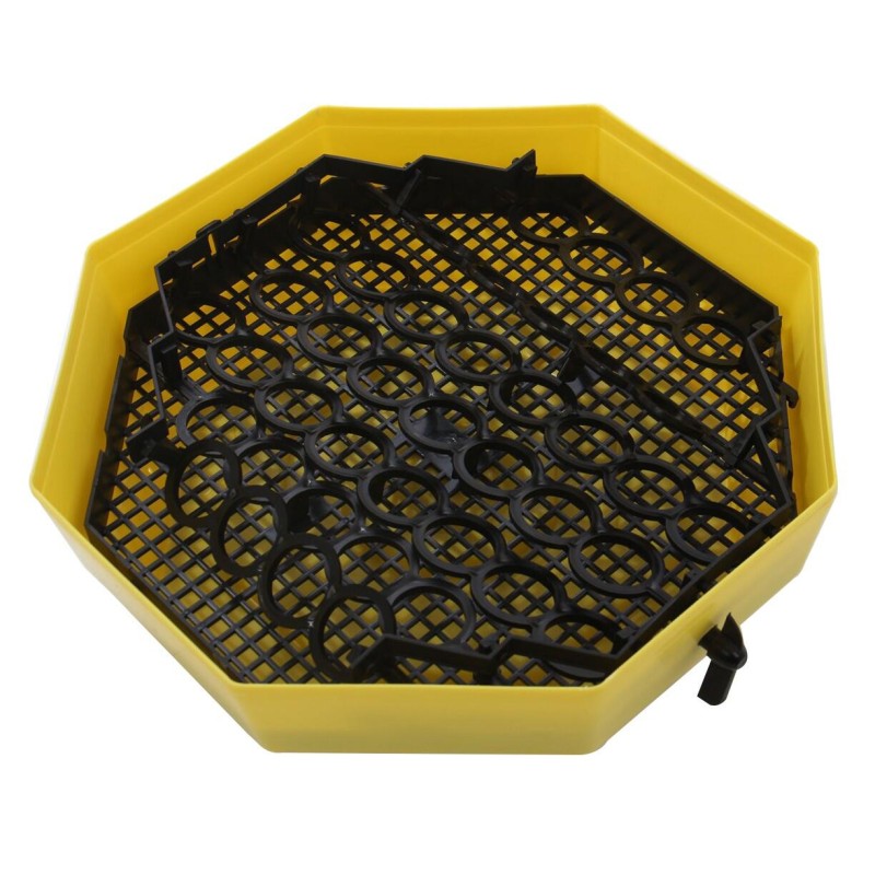 Incubator electric oua (clocitoare) cu dispozitiv de intoarcere si termometru Cleo 5DT, 230 V, 41 oua capacitate, 38°C temperatura incubare