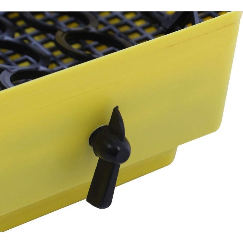 Incubator electric oua (clocitoare) cu dispozitiv de intoarcere si termometru Cleo 5DT, 230 V, 41 oua capacitate, 38°C temperatura incubare