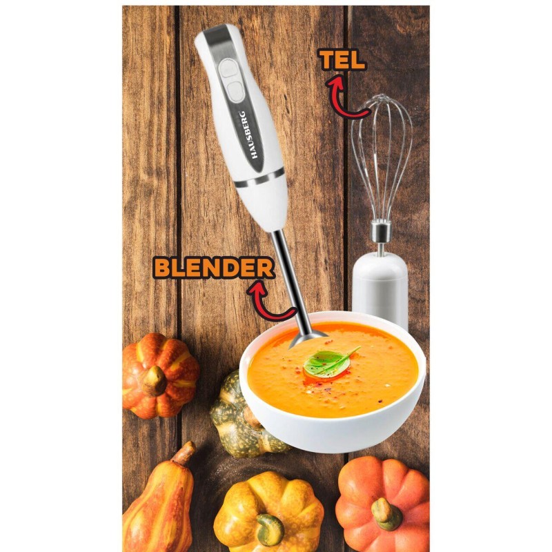 Blender 4 in 1, Hausberg HB-7666AB, 2 viteze, motor cupru, lama din inox, 350W, Alb