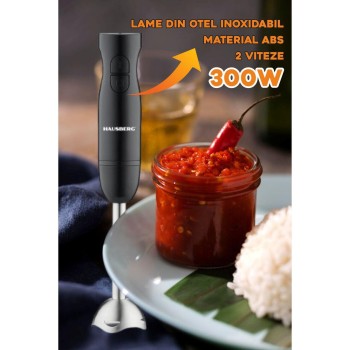 Blender de mana HAUSBERG HB-7674NG, 300W, 2 viteze, material ABS, lame din otel inoxidabil, Negru