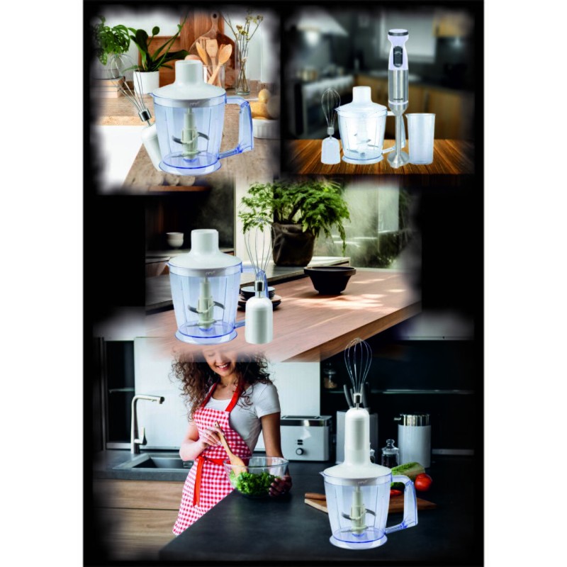 Blender de mana profesional, Hausberg HB-7700AB, 4 in 1, Cana 1000ml, Tel, Tocator, putere 1000 w, Alb