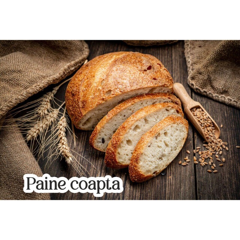 Cuptor electric Ertone MN9135NG, 36L, 1420W, Termostat, 2 Tavi, Negru