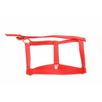 Capastru cal din banda "3"