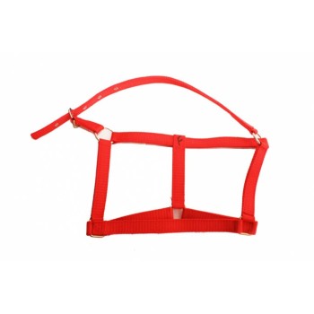 Capastru cal din banda "P"