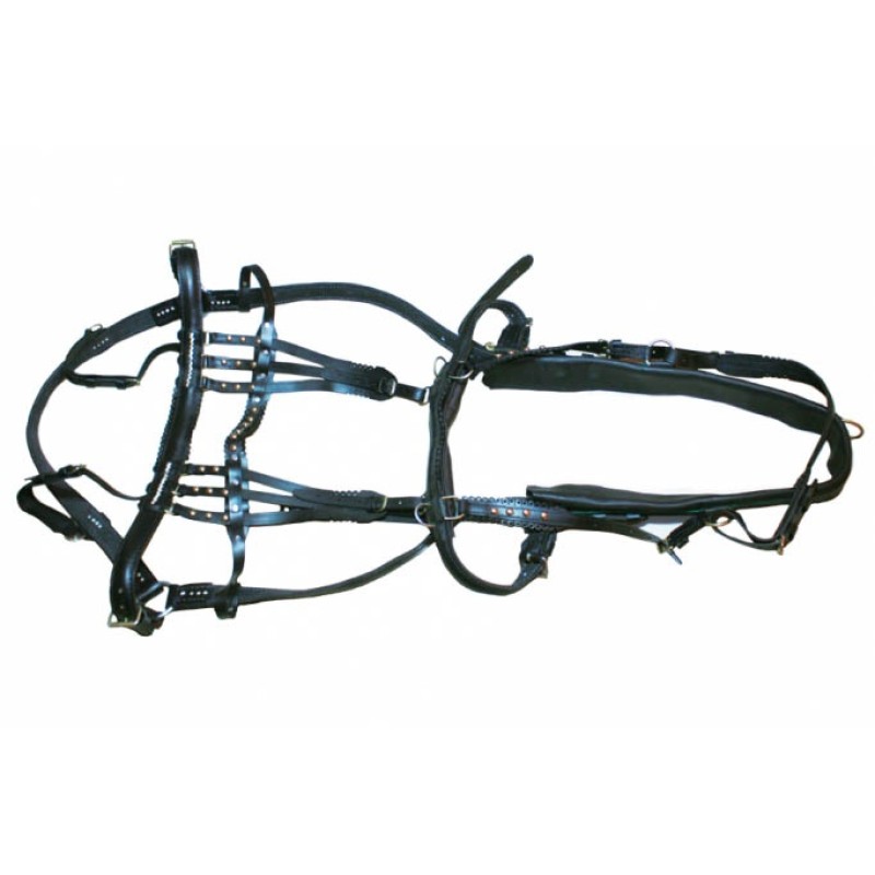 Ham complet din piele simplu