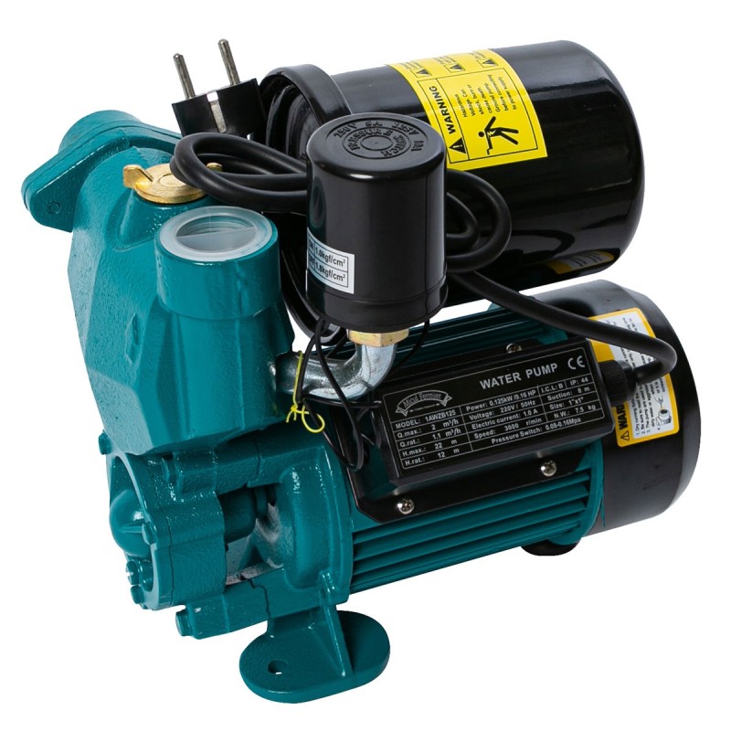 Mini hidrofor Micul Fermier 0.125 kW, debit maxim 2000l/h, inaltime maxima de pompare 22m, corp pompa fonta, capacitate vas expansiune 2 litri