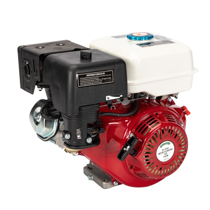 Motor pe benzina 9HP