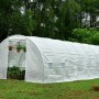 Solar/Sera Micul Fermier 8x3x2m , polietilena, densitate 140g/mp UV4