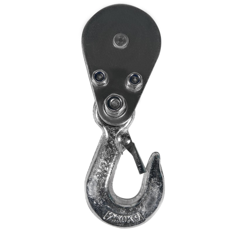 Troliu electric (macara) 500kg 800W fir 4mm