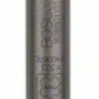 Bosch Dalta lata SDS Max 300x26mm