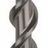 Bosch Burghiu pentru gaurire cu percutie SDS Plus-5, 22x200x250mm