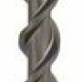 Bosch Burghiu pentru gaurire cu percutie SDS Plus-5, 22x400x450mm