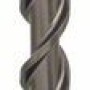 Bosch Burghiu pentru gaurire cu percutie SDSPlus-5, 18x250x300mm