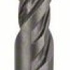 Bosch Burghiu pentru gaurire cu percutie SDS Plus-5, 12x100x165mm