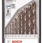 Bosch Set 10 burghie Robust Line pentru metal HSS-Co, D1-10mm