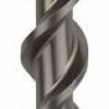 Bosch Burghiu pentru gaurire cu percutie SDS Plus-5, 24x200x250mm