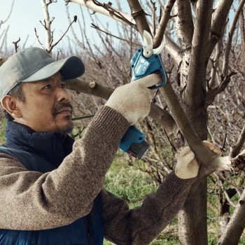 Bosch Pro Pruner Foarfeca Li-Ion, 12V cu 2 acumulatori 3Ah